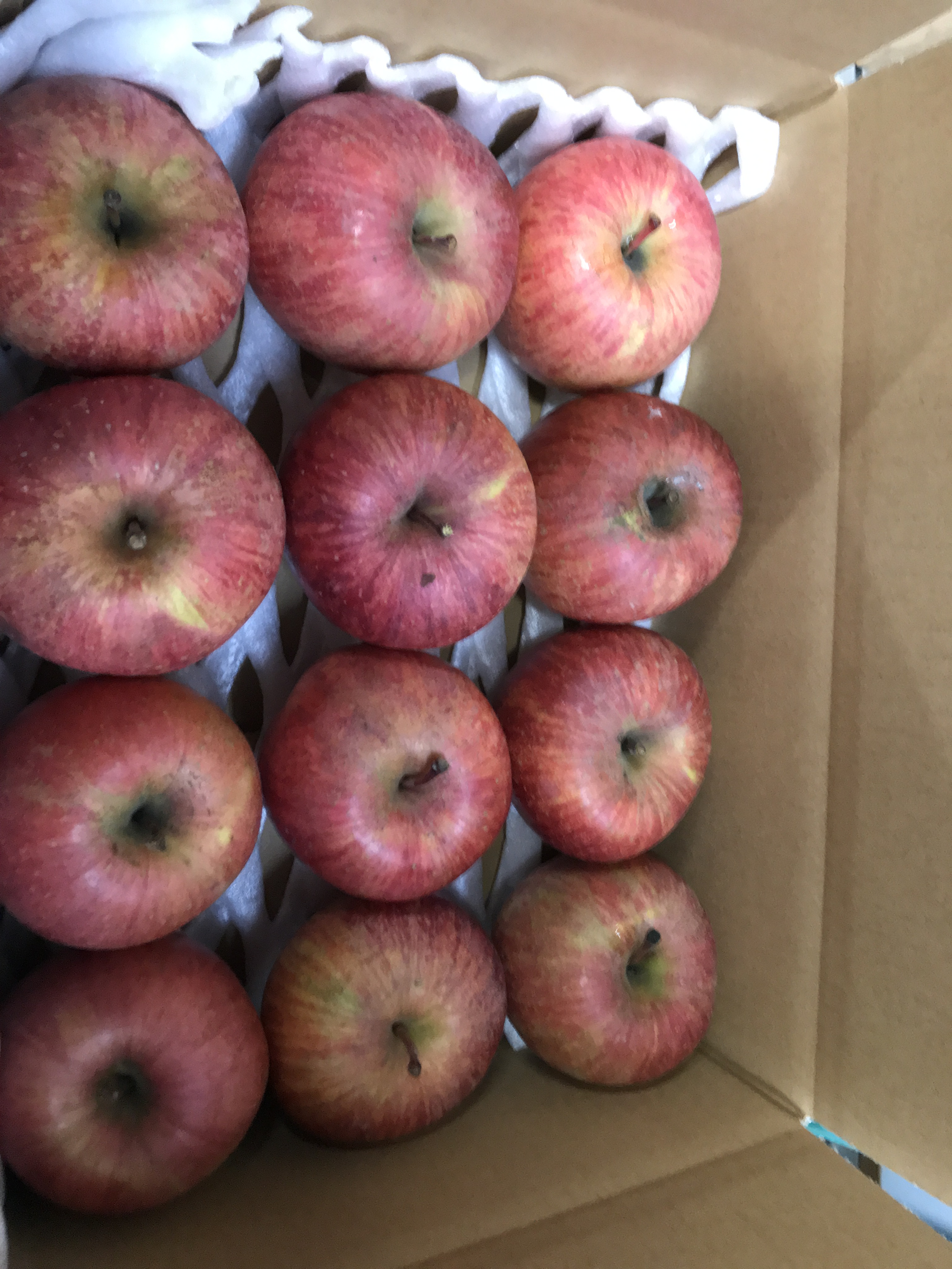 りんご 3キロって これぐらいの量！ | りんごの豆知識 | 長野県小布施