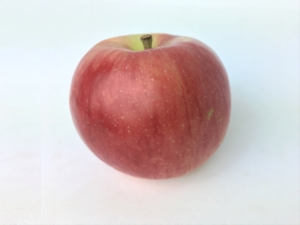 長野県小布施町・産地直送のりんご通販ショップ｜Su-eat Farm APPLE（スイートファーム・アップル）|夏あかり