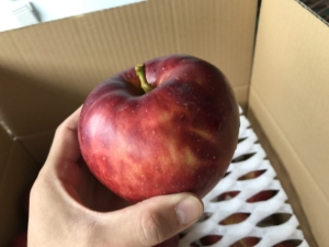 紅玉 りんご