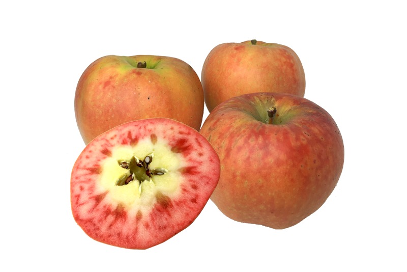 長野県小布施町・産地直送のりんご通販ショップ｜Su-eat Farm APPLE（スイートファーム・アップル）|なかののきらめき